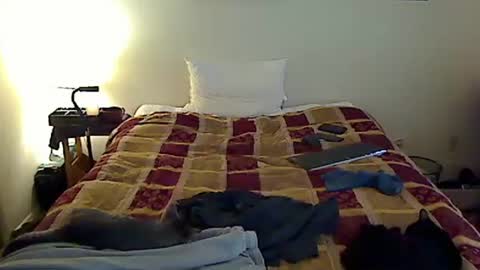 hammerthatthang73 online show from November 6, 2025, 6:42 pm