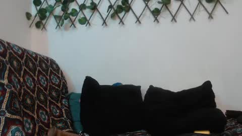 SARA  online show from January 12, 2025, 4:00 am