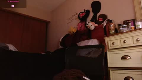 meatwad online show from December 23, 2025, 3:48 am