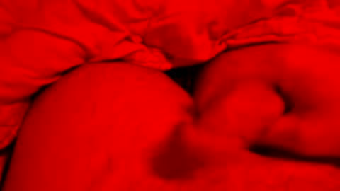 Small things matters online show from March 8, 2026, 6:12 pm