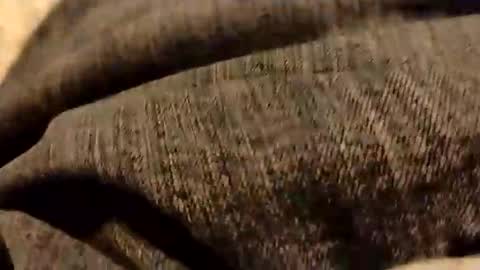 hardandhorny422 online show from January 5, 2026, 6:44 pm