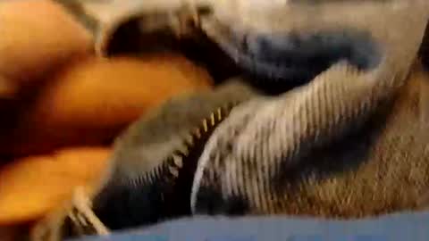 hardandhorny422 online show from January 15, 2026, 3:49 pm