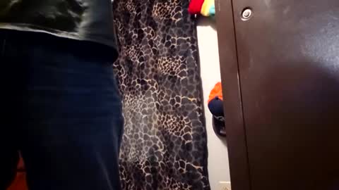 Snapshot of hardfastandrough chatting on February 8, 2026, 2:59 am Funsize online show from February 8, 2026, 2:59 am