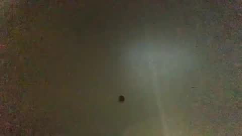 Snapshot of hardforyou3030 chatting on January 26, 2025, 2:56 am For You online show from January 26, 2025, 2:56 am