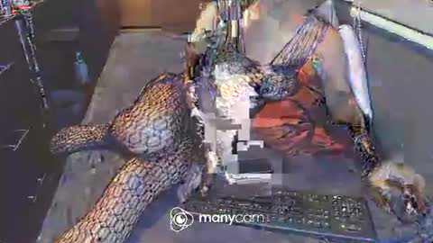 Snapshot of hardfucking_mistress chatting on March 3, 2025, 12:48 pm Irina online show from March 3, 2025, 12:48 pm