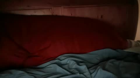 Snapshot of haroldhaller chatting on March 10, 2025, 1:01 am Harry H online show from March 10, 2025, 1:01 am