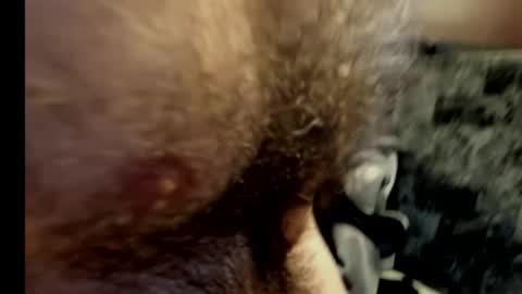 Snapshot of harry_banana chatting on February 10, 2025, 10:40 pm harry_banana online show from February 10, 2025, 10:40 pm