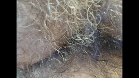 Snapshot of harry_banana chatting on September 11, 2025, 1:11 pm harry_banana online show from September 11, 2025, 1:11 pm