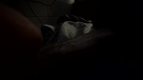 J Hart online show from January 23, 2025, 10:22 am