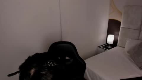 Snapshot of has_gonzalezz chatting on November 26, 2025, 4:46 am has_gonzalezz online show from November 26, 2025, 4:46 am