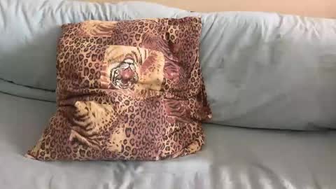 Snapshot of havedream1m chatting on February 10, 2026, 10:08 am havedream1m online show from February 10, 2026, 10:08 am