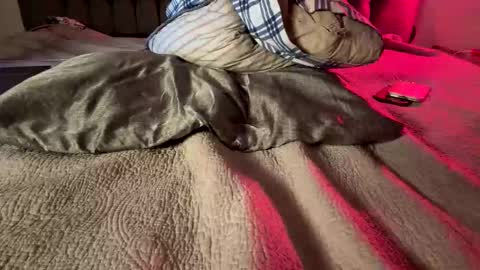 Amber  -   or vip  online show from February 14, 2026, 11:51 am