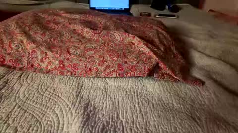 Amber  -   or vip  online show from March 8, 2026, 4:05 am