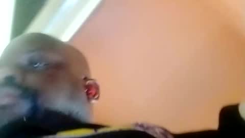 hbdj2164 online show from February 23, 2025, 3:40 pm