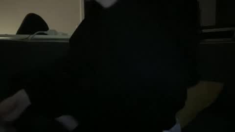 hchappel19 online show from October 1, 2025, 8:15 pm