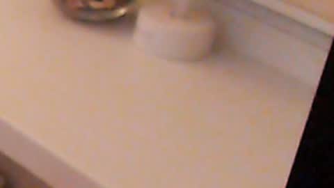 Snapshot of heaven_chloe chatting on December 5, 2024, 11:29 pm Heaven girl online show from December 5, 2024, 11:29 pm