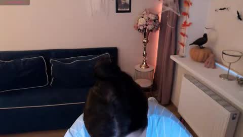 Heaven girl online show from November 2, 2025, 1:35 pm