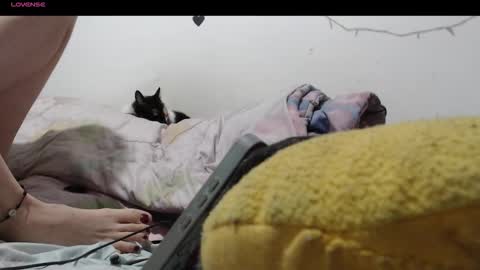 sofia online show from December 4, 2025, 1:48 am