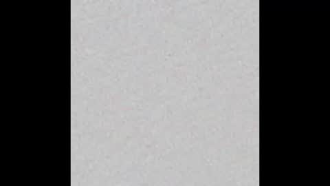 HEDONISTIC TRAIT online show from December 15, 2025, 9:24 am