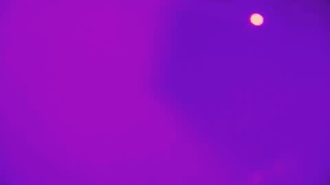 heidikendal online show from February 26, 2026, 3:22 pm