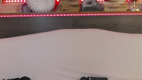    online show from February 22, 2025, 7:12 am