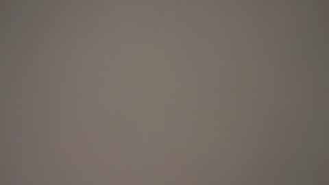 hellohowareyou66 online show from January 24, 2025, 12:31 am