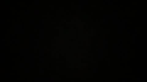 hellohowareyou66 online show from February 2, 2025, 4:37 am