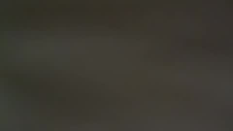 hellohowareyou66 online show from February 13, 2025, 6:38 pm