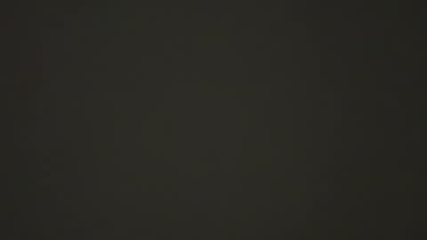 hellohowareyou66 online show from February 14, 2025, 2:50 am