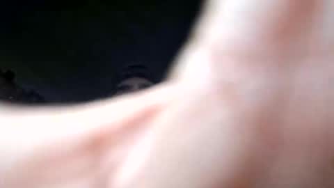 herjafe online show from March 2, 2026, 5:19 am