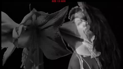 Snapshot of hetaerart chatting on June 24, 2026, 7:13 pm Sasha online show from June 24, 2026, 7:13 pm