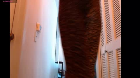 Snapshot of hevin69 chatting on February 15, 2026, 7:10 pm hevin69 online show from February 15, 2026, 7:10 pm