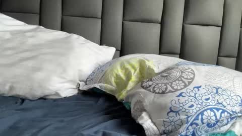 Terry and E online show from September 21, 2025, 8:54 pm