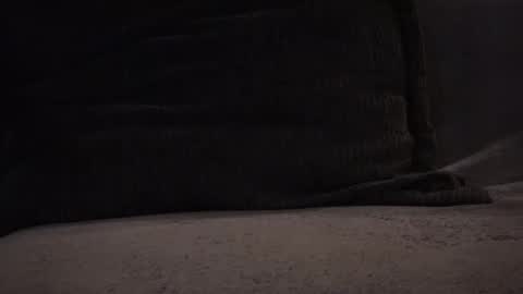 Snapshot of hikinks chatting on November 12, 2025, 3:18 am hikinxxx online show from November 12, 2025, 3:18 am