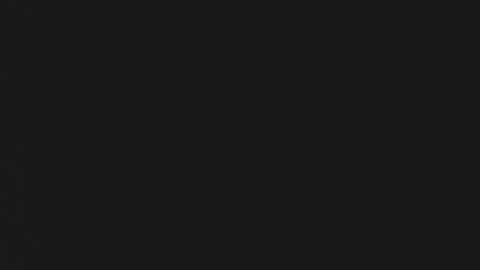 FANE AND DAVID online show from December 16, 2025, 12:37 am