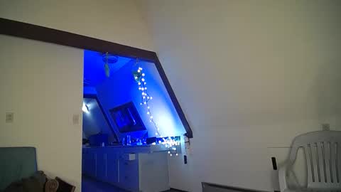 Hippie Jijm online show from March 11, 2025, 7:37 am