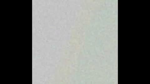 Hung top 4 furry dads online show from March 9, 2025, 1:26 pm