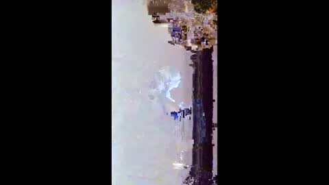 hoglegg99384194 online show from January 15, 2026, 11:48 am