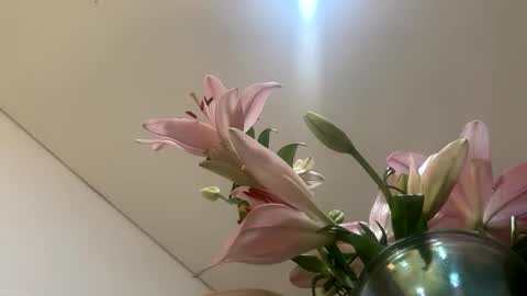 space online show from January 12, 2026, 2:28 am