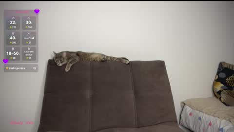 Snapshot of holybabe342 chatting on March 1, 2025, 8:21 pm Vio online show from March 1, 2025, 8:21 pm