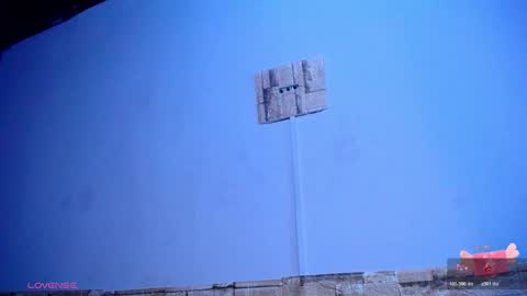 Victoria online show from November 19, 2025, 11:21 am