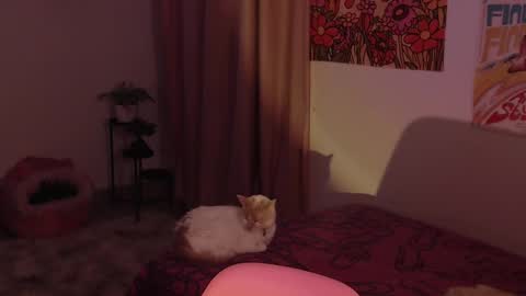    online show from December 18, 2024, 11:30 pm