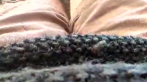 Tiny cock online show from January 18, 2026, 2:43 pm
