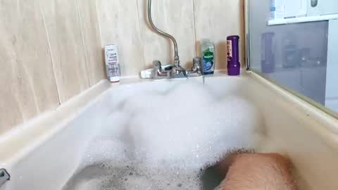 Snapshot of hornybiker1987 chatting on November 25, 2025, 12:05 pm hornybiker1987 online show from November 25, 2025, 12:05 pm