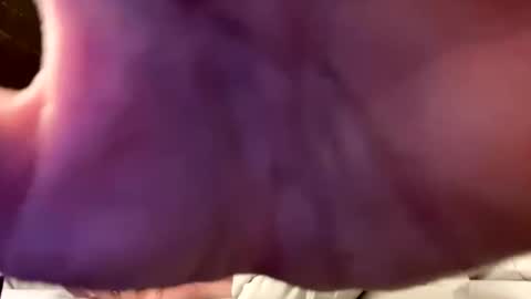 Justin 7 inches online show from September 10, 2025, 10:54 pm