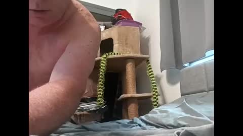 hornyman6942842 online show from December 13, 2025, 8:04 pm