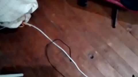 hornypaul84 online show from November 5, 2025, 7:47 pm