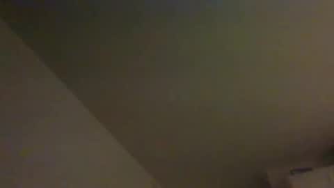 Snapshot of horseplay1020 chatting on March 1, 2025, 10:24 am Horseplay online show from March 1, 2025, 10:24 am