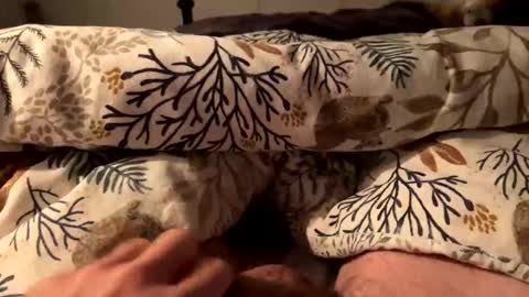 Snapshot of hot_for_you_ chatting on October 18, 2025, 12:57 am hot_for_you_ online show from October 18, 2025, 12:57 am