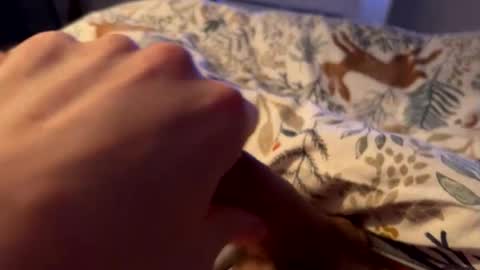 hot_for_you_ online show from February 26, 2026, 2:10 am